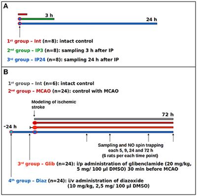 Molecular Bases of Brain Preconditioning